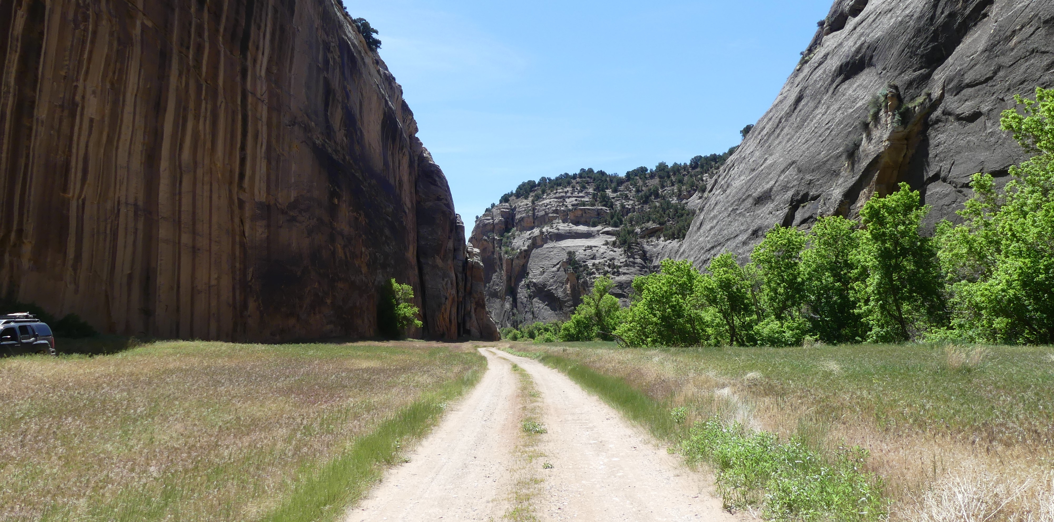 p1010116-2201523113-